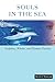 Souls in the Sea: Dolphins, Whales, and Human Destiny