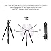ZoMei Camera Tripod for DSLR with 360 Degree Ball Head Lightweight Alluminum Alloy Tripod for Canon Nikon DSLR and Camcorders(Black)