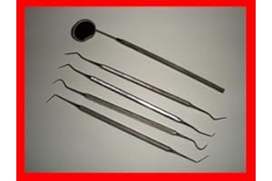 Oubo Dental Oral Probe Pick & Mirror Tool Instrument 5 Piece Set Stainless Steel