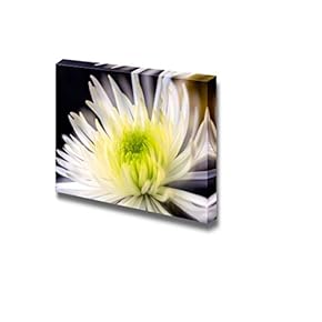 Canvas Prints Wall Art - Closeup of White Chrysanthemums Flower | Modern Wall Decor/Home Decoration Stretched Gallery Canvas Wrap Giclee Print & Ready to Hang - 12" x 18"