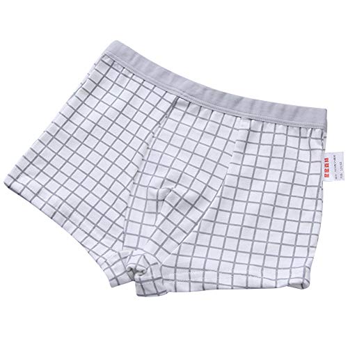 RAISEVERN Slip Boxer da Bambino Pantaloncini di Cotone Shorts Intimo Assortito 4 Pezzi Pantaloni Bambino Pantaloni di Sicurezza 2-3 Anni