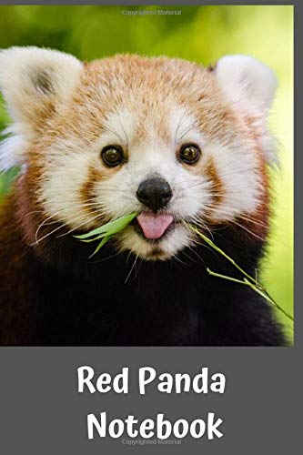 Red Panda Notebook Notebook For Kids With Happy Animals Notebook For Writing And Drawing Cartoon Colorful Cover 100 Pages Blank 6 X 9 Happy Animals Notebooks Boe Beetsy Ann Amazon Com Books