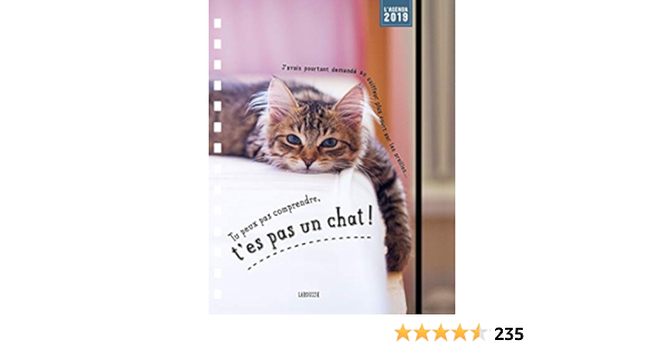 Calendrier 2023 Tu Peux Pas Comprendre T Es Pas Un Chat Tu Peux Pas Comprendre T'es Pas Un Chat - Agenda (Calendrier - Animaux,  31262) (French Edition): 9782035954213: Amazon.com: Books