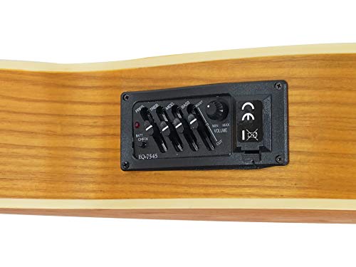 4 Fretless+String+Acoustic+Electric+Cutaway