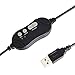 Amazon Basics USB Headset with Mic and Mute Option