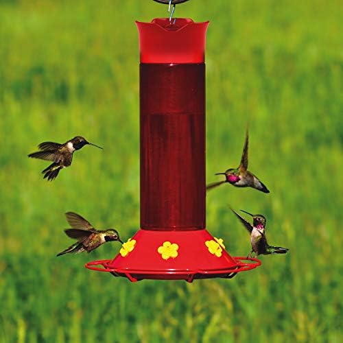Amazon Com Perky Pet 409 Hummer S Favorite Hummingbird Feeder