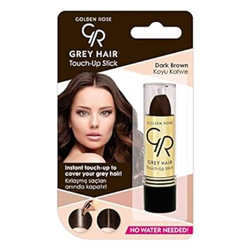 Amazon Com Golden Rose Gray Hair Touch Up Stick 02 Dark Brown Beauty