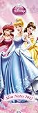 2012 A&I Disney Princess Slim Notes Calendar by 
