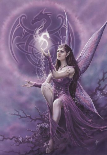 Draco Faerie - Anne Stokes Greetings Card - Fantasy Gothic Dragon and Fairy