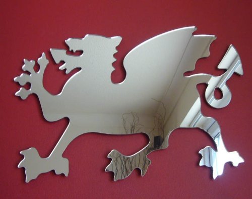 Super Cool Creations Shatterproof DRAGON Acrylic Mirror 20cm x 15cm