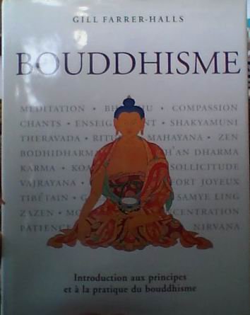 Bouddhisme, introduction aux principles et a la pratique du bouddhisme by Gill Farber-Halls