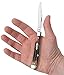 Case XX WR Pocket Knife, Slimline Trapper, Length Closed: 4 1/8 Inches, Made in USA