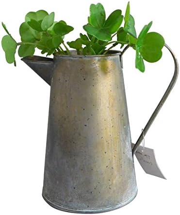 WEESDON Artificial Plants Faux Small Grass Potted for Home Decor in Pot Landscape Evergreen Fake Flowers (High)