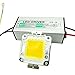 GLW Waterproof 50W LED Driver Power Supply Barretter and 3000k Warm White Led Chip Bulb DIY