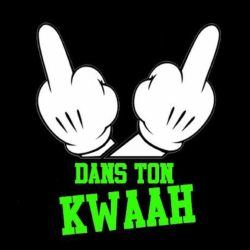 niro dans ton kwaah mp3 niro dans ton kwaah mp3