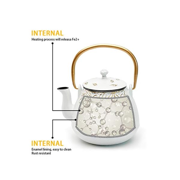 TOPTIER Japanese Cast Iron Tea Kettle with Infuser,Teapot Stovetop Safe