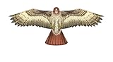 X-Kites Birds of Prey Kite 48
