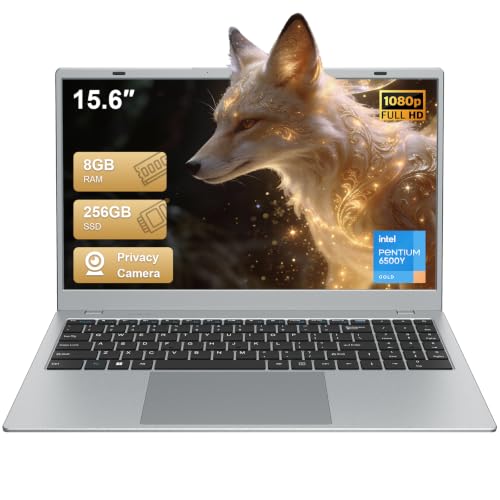 VIGSENUP 15.6 FHD Laptop