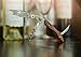 Belted Bull Rosewood Waiters Corkscrew Wine Opener – Best All In One Bottle Opener with Foil Cutter