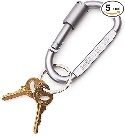 small chain lock