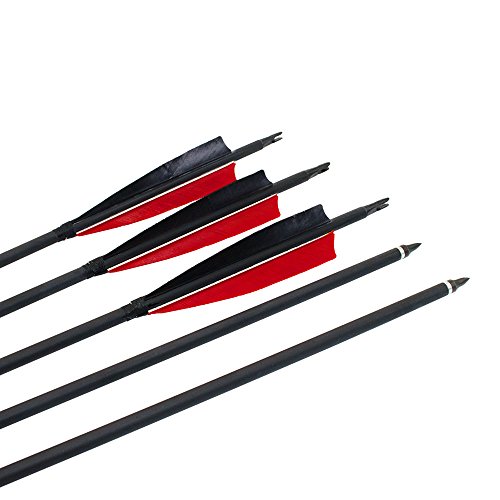 ARCHERY SHARLY 31" Carbon Fiber Arrows Targeting Practice Arrows,5" Black & Red Natural Feather Fletching and Replacement Screw-in Tips for Recurve Traditional Long Bow (6 Pack) - Thumbnail 2