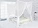 TMS 4 (Four) Corner Post Bed White Canopy Mosquito Net Full Queen King Size Netting