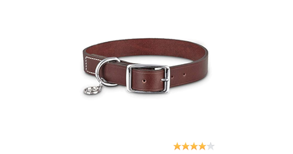 petco rolled leather collar