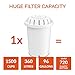 PH001 Alkaline Water Filter – Replacement Water Filter By Invigorated Water – Ionized Water Filter Cartridge - For Invigorated Living Pitcher, Ionizer, Purifier, 96 Gallon Capacity.