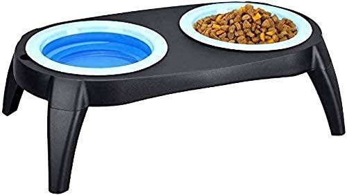 Paw Prints Collapsible Double Pet Feeding Station For Cat & Dogs