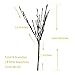BABALI Lighted Artificial Branches 20 Inches 48 Led Battery Operated Decorative Branches Willow Lighting Twig Branch Lights Warm White Crafts with Timer