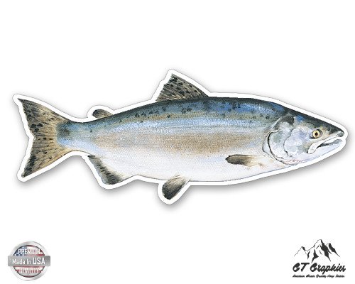 GT Graphics Pink Alaskan Salmon - 3