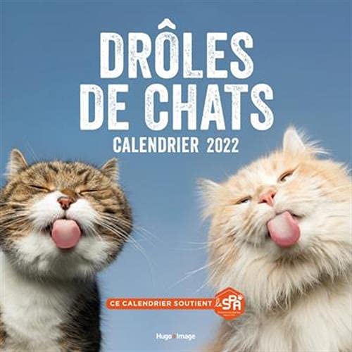 Calendrier Mural Droles De Chat 2022 Collectif 9782755690309 Amazon Com Books