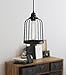 Rustic State Industrial Vintage Bird Cage Design Metal Wire Light Cage Guard for DIY Lighting Fixtures Black