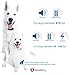 GoodBoy Small Size Remote Collar for Dogs with Beep Vibration and Shock Modes for Pet Behavior Training – Waterproof & 1000 Feet Range – Suitable for Small, Medium or Large Dogs Over 8 Lbs (2 Collars)thumb 2