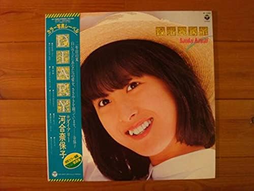 Amazon ｌｐレコード 河合奈保子 ｄｉａｒｙ 歌手 昭和 アニメ 萌えグッズ 通販