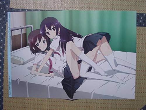 Amazon 咲 Saki 阿知賀編園城寺怜 清水谷竜華 ｒｄｇレッドデータガール 鈴原泉水子 両面ピンナップポスター アニメ 萌えグッズ 通販