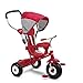 Radio Flyer All-Terrain Stroll 'N Trike Ride On