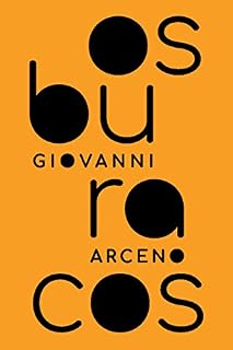 Livro Os buracos