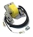 The ROP Shop Ignition Coil Module Magneto for Briggs & Stratton 298968 299366 Lawn Tractors
