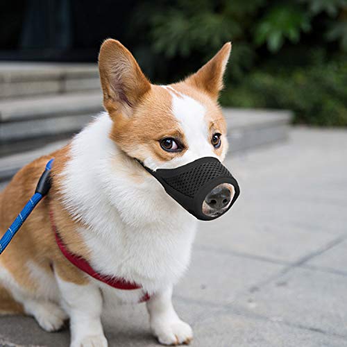 fabric muzzle