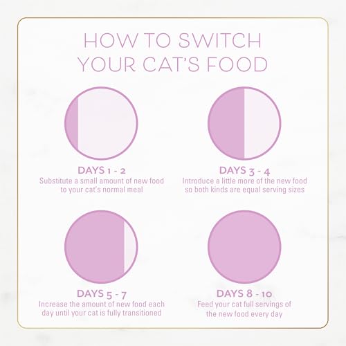 PURINA FANCY FEAST KITTEN WITH SAVORY CHICKEN AND TURKEY KITTEN DRY FOOD – 7 LB. BAG