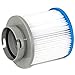 Clear Choice Pool Spa Filter 4.38 Dia x 4.13 in Cartridge Replacement for M-SPA B03008 Baleen AK-B0300874, [2-Pack]