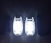 2-pack PREMIUM Extra Bright White LED Safety Lights with free Bonuses, Clip on Blinking Flashing Strobe Lights, High Visibility for Running Hiking Jogging Cycling Dog Collars, Outdoor Reflective Gear