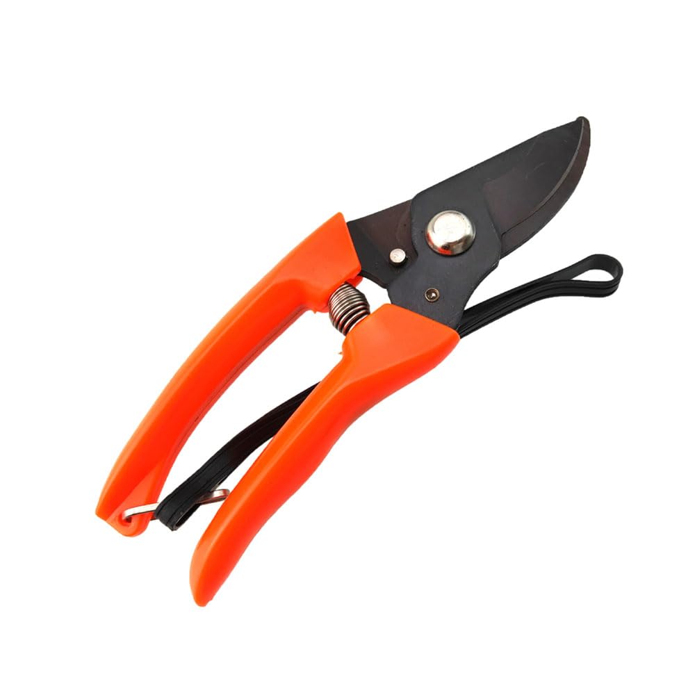 Hoof Trimmer, Multiuse Garden Pruning Shears Goat Nail Footrot Trimming Tools for Sheep Horse Cow Alpaca, 6.89 inch (Bent)