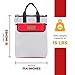 Digniti Fireproof Document Bag with Bonus High Security Lock, Large 15 x 11.4 x 2.4, Fireproof Bag, Water Resistant Fireproof Money Bag, Valuables, Passports, Sensitive Documents