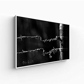 Canvas Wall Art for Living Room, Bedroom Monochrome Landscape Framed Canvas Prints for Home Decoration Ready to Hang - 16x24 inches