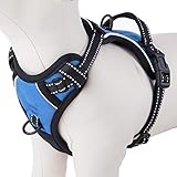 PHOEPET No Pull Dog Harnesses for Small Puppies Reflective Adjustable Front Clip Vest with 2 Metal Leash Attachment Hooks Soft Handle(S, Blue)