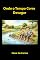 Livro Onde o tempo corre devagar
