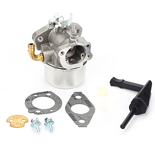 Anzac 698474 798653 Carburetor for Briggs & Stratton Craftsman Tiller Intek 190 6 HP 206 5.5hp Engine 696981 698860 694508 795069 698859 790180 790290 693865 697354 698474 791991 698810 698857