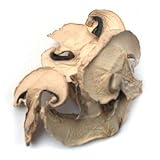 Dried White Button Mushroms - 16 oz. (1 lb.) Life Gourmet Shop